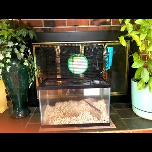Free! Two hamsters, cage and more!